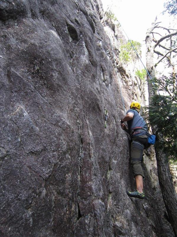 トップでガンバです